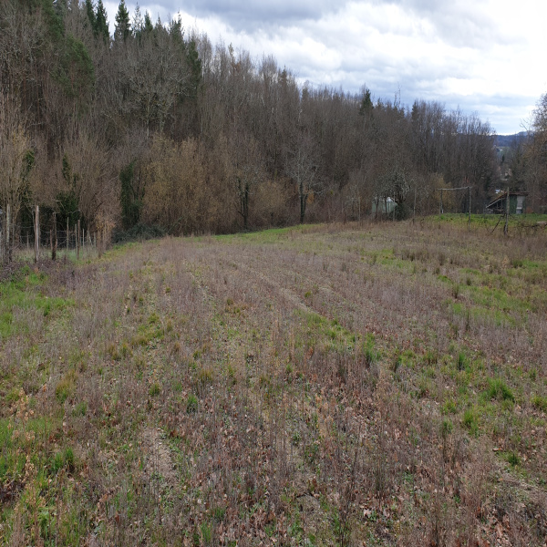 Offres de vente Terrain Escoutoux 63300
